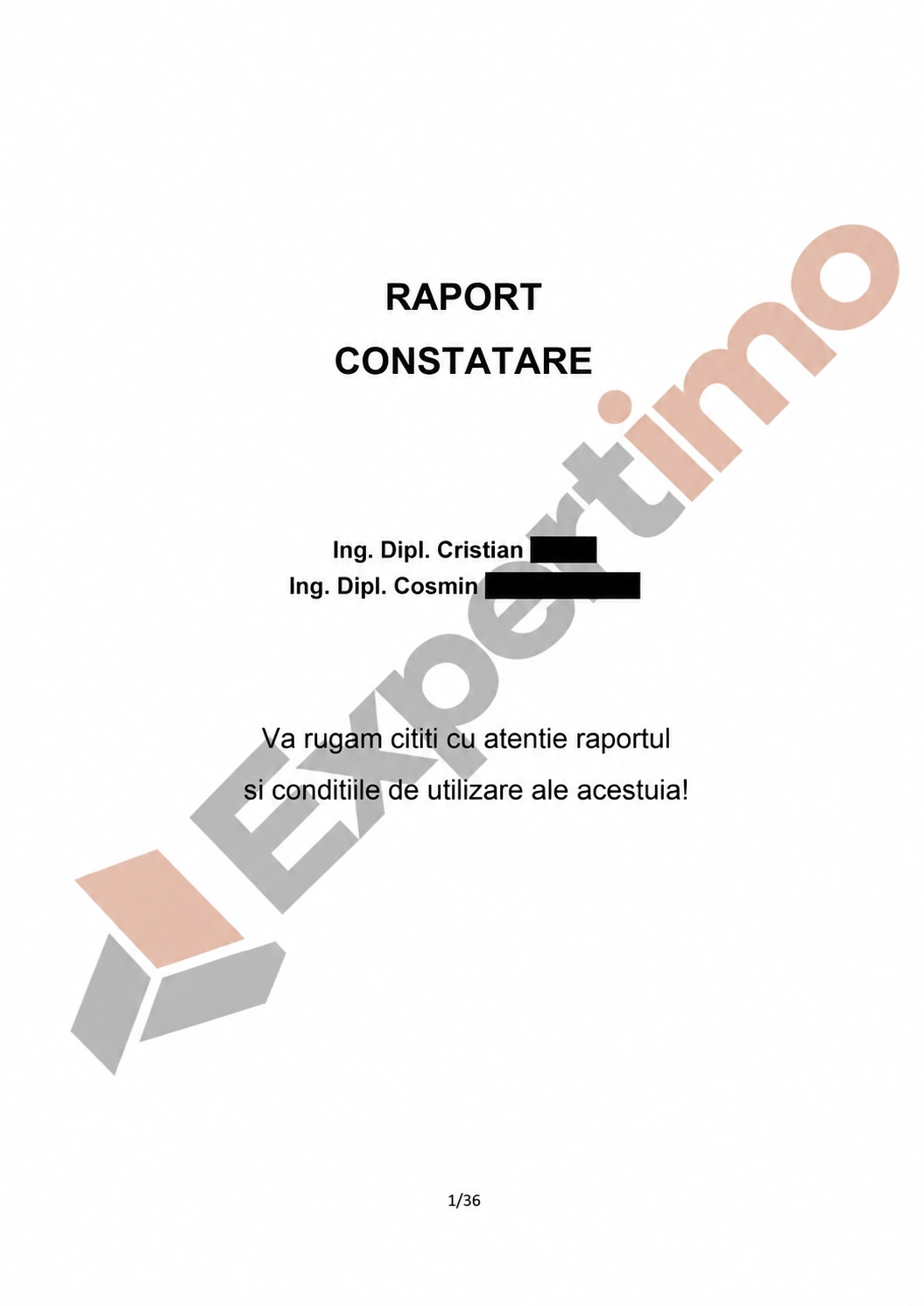 Exemplu de raport de constatare Expertimo
