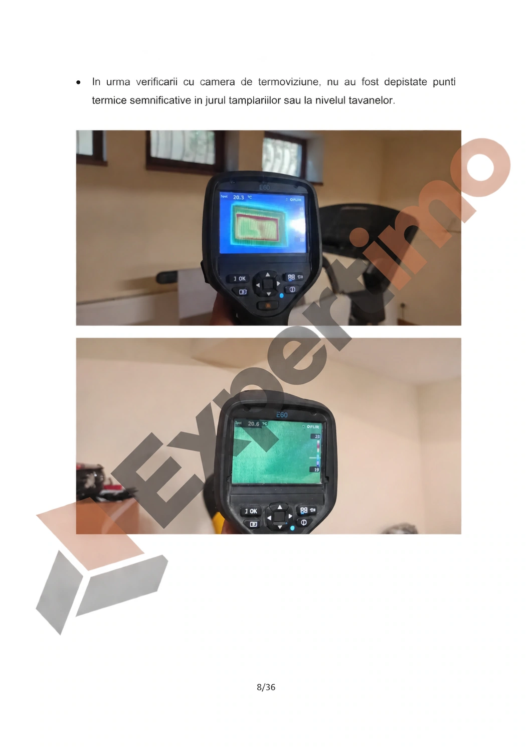 Raport complet: model de constatare cu 36 de pagini 8 Raport complet de constatare, pagina 8