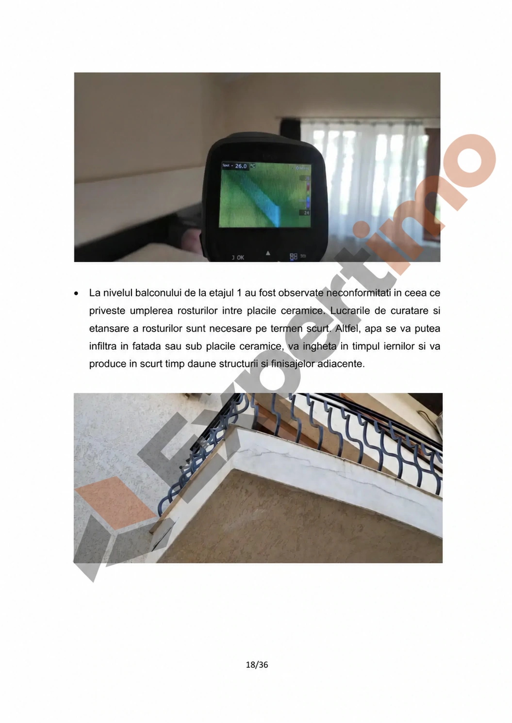Raport complet: model de constatare cu 36 de pagini 18 Raport complet de constatare, pagina 18