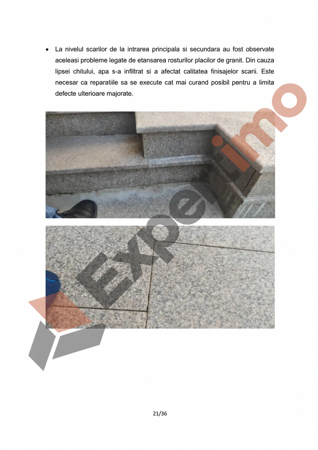Raport complet: model de constatare cu 36 de pagini 21 Raport complet de constatare, pagina 21