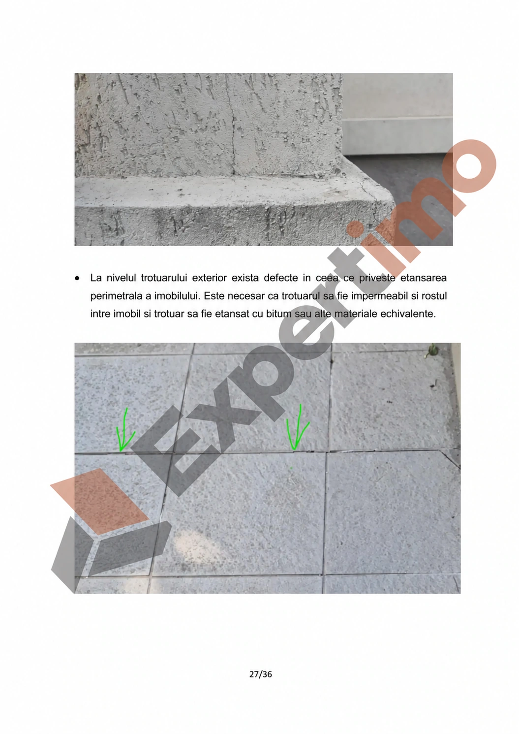 Raport complet: model de constatare cu 36 de pagini 27 Raport complet de constatare, pagina 27