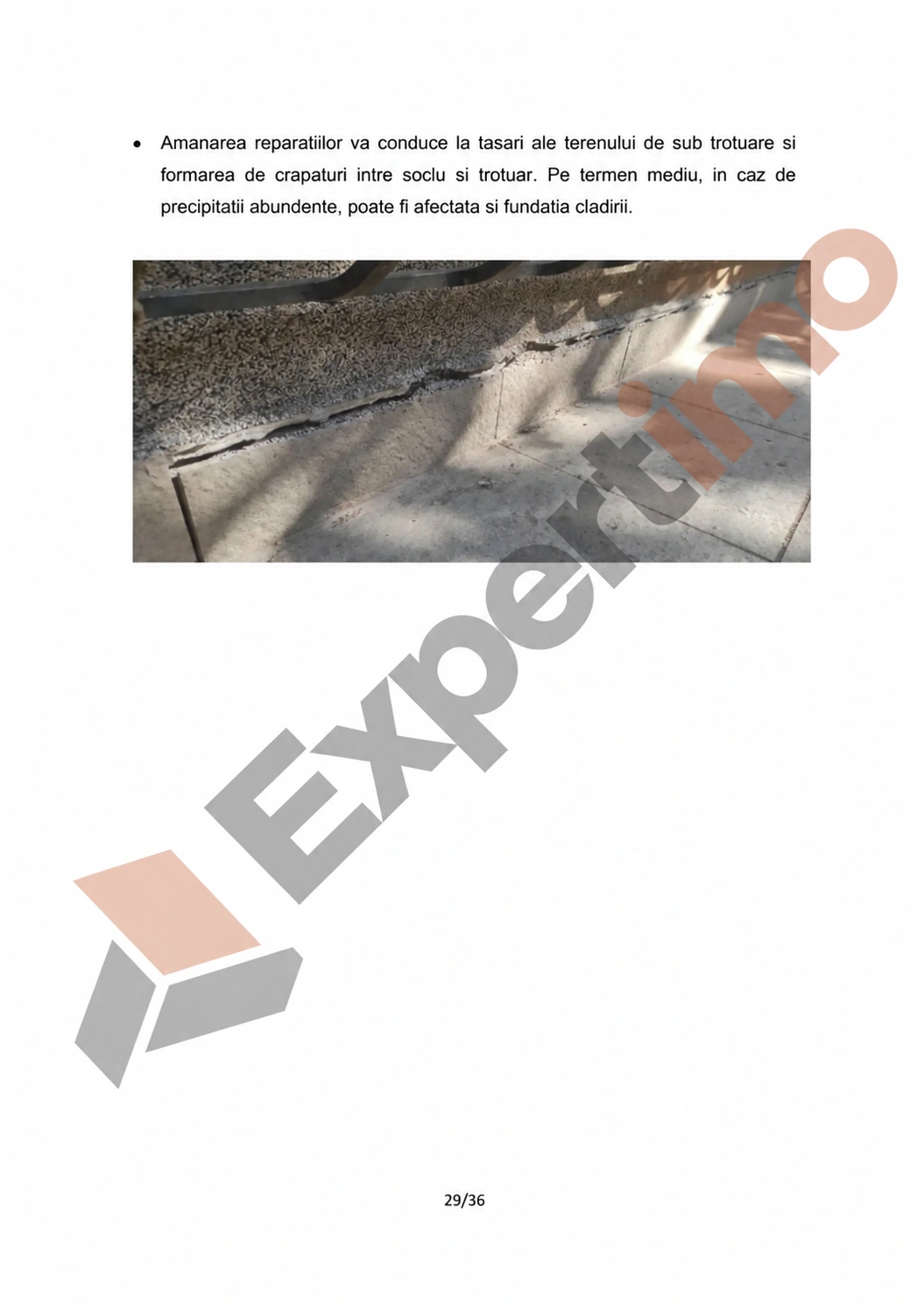 Raport complet: model de constatare cu 36 de pagini 29 Raport complet de constatare, pagina 29