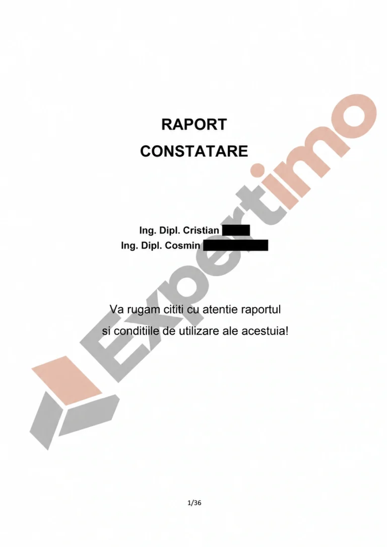 Exemplu de raport de constatare Expertimo